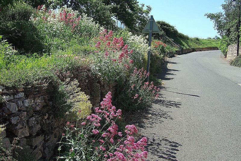 2010-06- (48).JPG